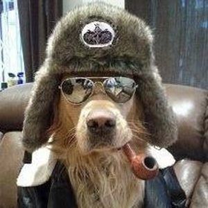 Meet your Posher, Fred